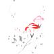 Pink Morning Glory flowers Sumi-e illustration artistic design on whit... (thumbnail)