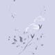 Morning Glory flowers Sumi-e illustration artistic design on lavender... (thumbnail)