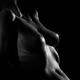 Art nude black and white closeup of a sexy woman body stomach and brea... (thumbnail)