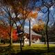 Kondo hall of Daigoji temple in colorful autumn scenery Kyoto Japan... (thumbnail)