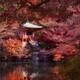 Bentendo Hall and a bridge reflecting in a pond at Daigoji temple in K... (thumbnail)