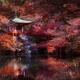 Bentendo Hall with a bridge over a pond at Daigo-ji temple beautiful r... (thumbnail)