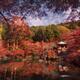 Pond in front of Bentendo Hall in a beautiful colorful autumn scenery... (thumbnail)