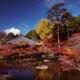 Daikodo hall with a pond at Daigo-ji temple in colorful autumn scenery... (thumbnail)