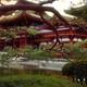 Phoenix Hall of Byodo-in temple in sunrise behind pine tree branches B... (thumbnail)