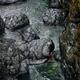 Dramatic scenery of rocky river banks and rapids of the Englishman Riv... (thumbnail)
