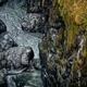 Shiny rocky river bed and mossy banks of the Englishman Vancouver Isla... (thumbnail)