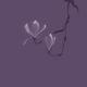 Beautiful blossoming magnolia branch and flowers Zen style illustratio... (thumbnail)