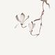 Elegant magnolia branch with two flowers sumi Zen style illustration d... (thumbnail)