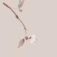 Delicate sakura branch Japanese Zen Sumi-e painting artistic design in... (thumbnail)