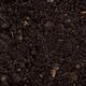 Compost organic fertilizer for soil closeup detail... (thumbnail)