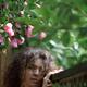 Artistic tranquil portrait of a beautiful woman standing in a garden u... (thumbnail)