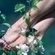 Artistic closeup of young woman bare feet touching the apple tree blos... (thumbnail)