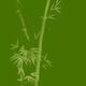 Three bamboo stalks with leaves artistic oriental style design illustr... (thumbnail)