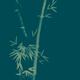 Three bamboo stalks with leaves artistic oriental style design illustr... (thumbnail)