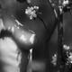Artistic nude black and white closeup of a naked woman breast under ap... (thumbnail)