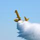 Water Bomber CL-415... (thumbnail)