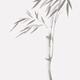 Light gray illustration of a bamboo stalk with leaves Japanese Zen Sum... (thumbnail)