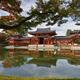 Sunny autumn scenery of the Phoenix Hall also Amida hall of Byodoin te... (thumbnail)