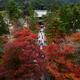 People walking to the Hatto hall of Nanzen-ji Zen Buddhist temple in K... (thumbnail)