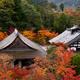 Roofs of Nanzen-ji temple buildings in colorful autumn scenery in Kyot... (thumbnail)