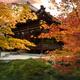Tenjuan Japanese Temple hall in beautiful autumn scenery in Kyoto... (thumbnail)