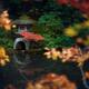 Japanese stone lantern Ishi-doro reflecting in the water of Tenju-an T... (thumbnail)