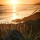 Artistic scenery at Pacific Rim National Park beach in soft light of t... (thumbnail)