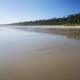 Pacific Rim National Park Reserve Long Beach with Rain forest trees al... (thumbnail)