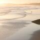 Two people on the ocean beach in sunset at Pacific Rim National Park T... (thumbnail)