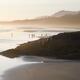 People on the beach at low tide of the ocean Pacific Rim National Park... (thumbnail)