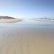 Surreal scenery of the sandy ocean shore at Pacific Rim National Park... (thumbnail)