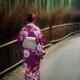 Young Japanese woman in kimino walking along Arashiyama bamboo forest... (thumbnail)