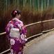 Japanese woman in a kimino walking through Arashiyama bamboo forest in... (thumbnail)