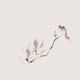 Elegant magnolia branch Japanese Zen floral illustration on light beig... (thumbnail)