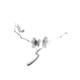 Elegant illustration of sakura flowers on a branch floral black and wh... (thumbnail)