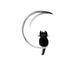 Black fuzzy cat sitting on the crescent moon... (thumbnail)