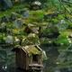 Tranquil scenery of Tenjuan Temple Japanese Zen pond garden moss cover... (thumbnail)