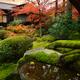 Tenju-an Japanese Temple hall in autumn scenery of a temple garden wit... (thumbnail)