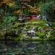 Autumn scenery at Tenjuan Temple Japanese pond garden... (thumbnail)