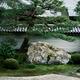 Red pine tree at Hojo-teien karesansui traditional rock Zen garden at... (thumbnail)