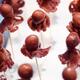 Takotamago Tako tamago grilled stuffed octopus on skewer at food marke... (thumbnail)