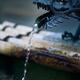 Dragon head Chozubachi water cleansing wash basin at a shrine in Japan... (thumbnail)