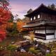 Ginkaku-ji Temple of Silver Pavilion Kannonden hall in colorful autumn... (thumbnail)