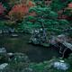 Pond with a bridge and a black pine tree in a Japanese Zen garden at G... (thumbnail)
