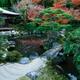 Japanese pond garden near Kannon-den hall of Jisho-ji Temple of the Si... (thumbnail)