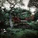 Autumn scenery of Ginkakuji Temple Japanese Zen garden... (thumbnail)
