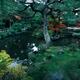 Japanese Zen garden with a pond at Ginkaku-ji Jisho-ji Temple in Kyoto... (thumbnail)