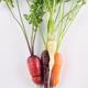 Organic home-grown heirloom carrots in different colors still life iso... (thumbnail)