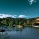 Rokuon-ji or Kinkaku-ji Temple of the Golden Pavilion in panoramic aut... (thumbnail)